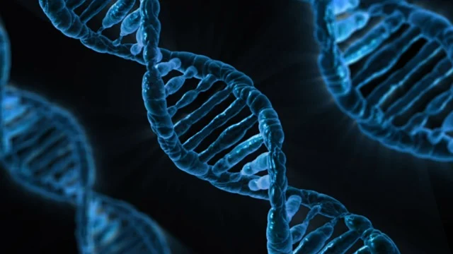 研究亨斯邁低氣味催化劑的分子結(jié)構(gòu)與催化活性的關(guān)系，實(shí)現(xiàn)性能的定制化。